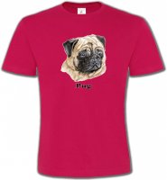 Carlin Pug (C)