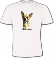 Chihuahua (C)