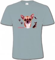 Chihuahua (B)