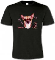 Chihuahua (B)