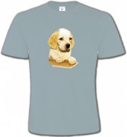 Cocker bébé beige(Yb)