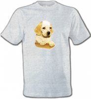 Cocker bébé beige(Yb)