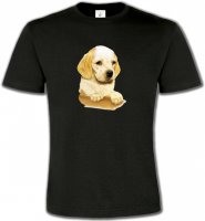 Cocker bébé beige(Yb)
