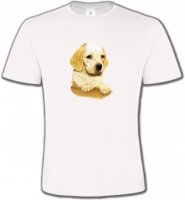 Cocker bébé beige(Yb)