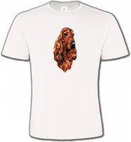 Cocker (Q)