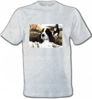 Cocker dans l'herbe (M)