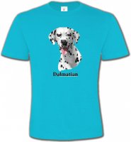 Tête Dalmatien (D)