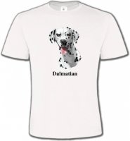 Tête Dalmatien (D)