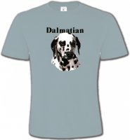 Tête Dalmatien (H)