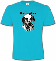 Tête Dalmatien (H)