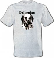 Tête Dalmatien (H)