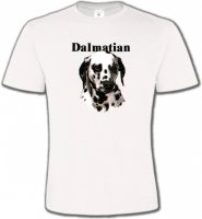 Tête Dalmatien (H)