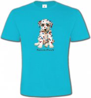 Dalmatien Patriotique (J)