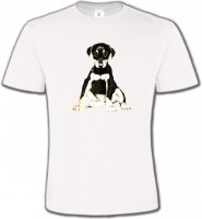 Doberman bébé (E)