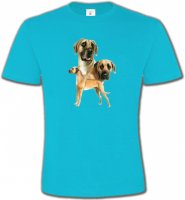 Dogue Allemand (B)