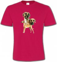 Dogue Allemand (B)