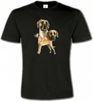 Dogue Allemand (B)