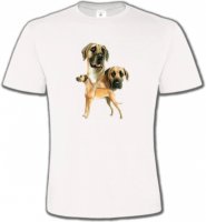 Dogue Allemand (B)