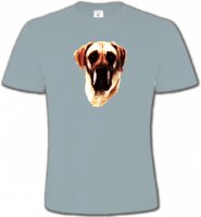 Dogue Allemand (A)