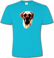 Dogue Allemand (A)