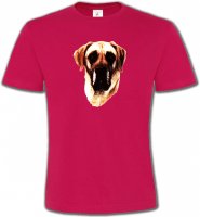 Dogue Allemand (A)