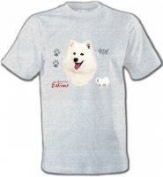 Esquimau Américain (B)