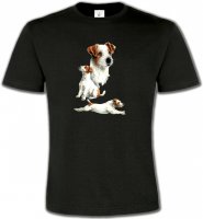 Fox Terrier Chiot