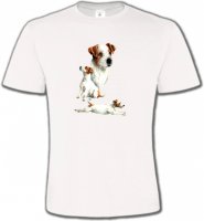 Fox Terrier Chiot