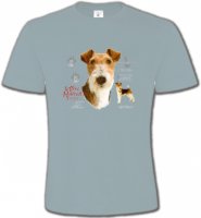 Fox Terrier (B)