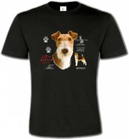 Fox Terrier (B)
