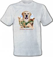Golden Retriever Paysage (MG)