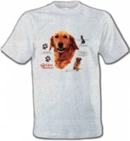 Golden Retriever (TG)