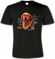 Golden Retriever (TG)