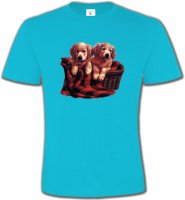 Golden Retriever Chiots (DG)