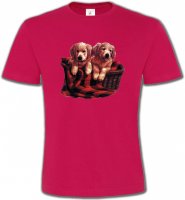 Golden Retriever Chiots (DG)