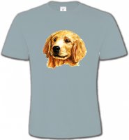 Tête de Golden Retriever (IAG)