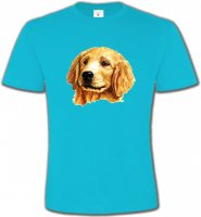 Tête de Golden Retriever (IAG)