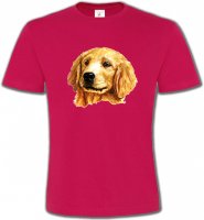 Tête de Golden Retriever (IAG)