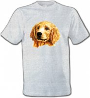 Tête de Golden Retriever (IAG)