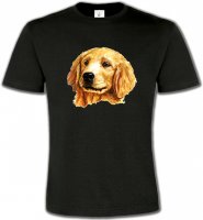 Tête de Golden Retriever (IAG)