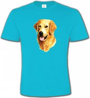 Tête de Golden Retriever (IBG)