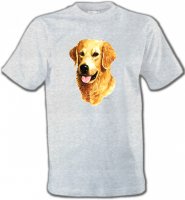 Tête de Golden Retriever (IBG)
