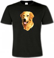 Tête de Golden Retriever (IBG)