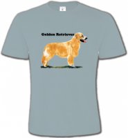 Golden Retriever (NG)