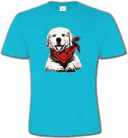 Golden Retriever Chiot Blanc (C2G)