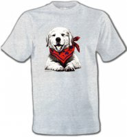 Golden Retriever Chiot Blanc (C2G)