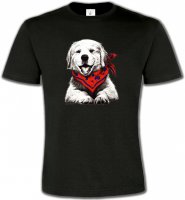 Golden Retriever Chiot Blanc (C2G)