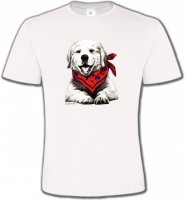 Golden Retriever Chiot Blanc (C2G)