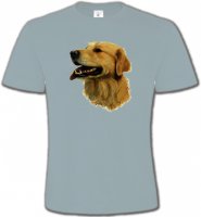 Tête de Golden Retriever (KG)