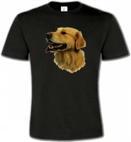 Tête de Golden Retriever (KG)